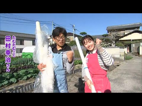 マルチシートや不織布を使った野菜の寒さ対策！【第16回】｜【笑味ちゃん天気予報】たむたむの野菜レッスン 2024年11月22日放送