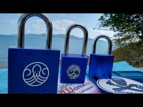 Pocket Women Live  | Locksport Hangout S1 E25