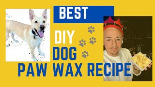 BEST DOG PAW PROTECTION WITH THIS DIY PAW WAX RECIPE