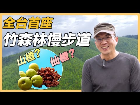 【雲林古坑】台灣山楂＋石壁香糖＋冬筍春筍｜有機無毒｜415｜＃美麗心台灣