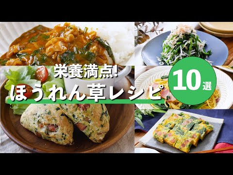 【ほうれん草レシピ10選】炒め物やおひたし、グラタンやパスタなど！アレンジいろいろ！#ほうれん草 #料理 #レシピ