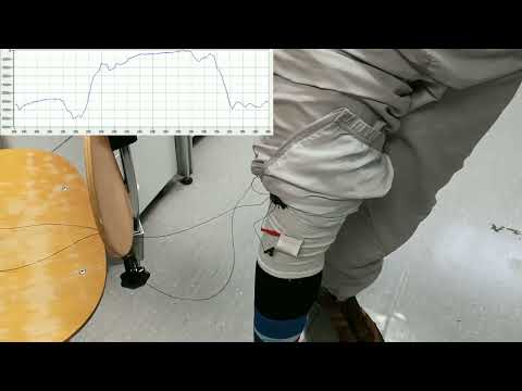 Apparel integrable CNF based strain sensor integrated in a knee-cap - knee bending 2