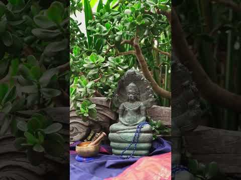 A Relaxing Moment Tibetan Singing Bowl Music #shorts