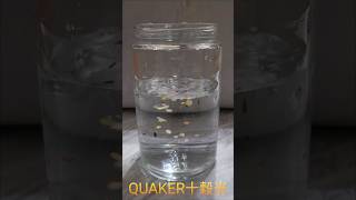 QUAKER 十穀米 & Water Mixing! 桂格十穀米與水混合