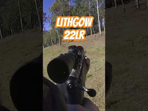 Lithgow LA101 22lr #ozziereviews #22longrifle #22caliber #22mag #lithgow #22lr #17hmr #gun #shooting