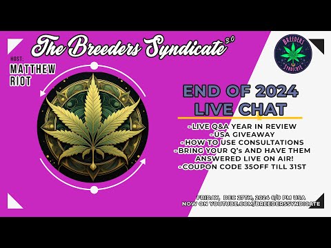 End Of The Year Review & Live Chat - Consultations - Rants