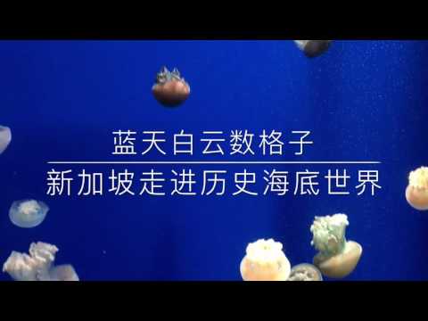 新加坡走进历史海底世界 Underwater World