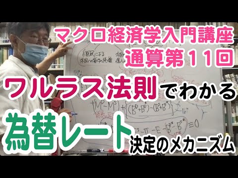 松尾匡のマクロ経済学入門講座：シリーズ４「為替レートはどうやって決まる？」第１回（通算第11回）「ワルラス法則でわかる為替レート決定のメカニズム」