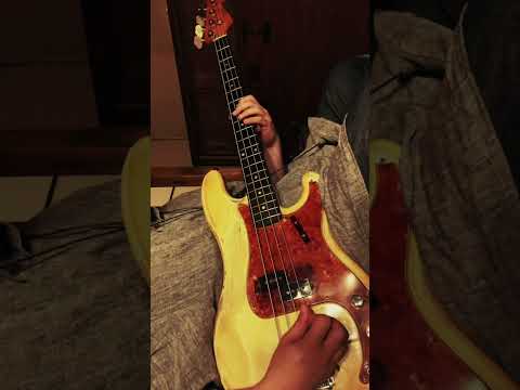 tora ni tsubasa / sayo-naramataitsuka! #shorts #kaybass #fenderbass