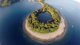 view　海に囲まれた神秘の淡水　静岡県沼津市の神池