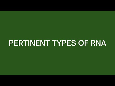 Pertinent Types of RNA