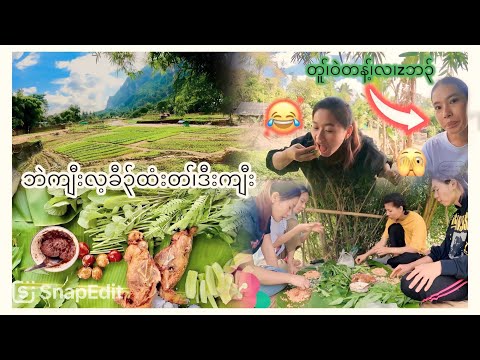 22/11/2024 Karen girls eating at Mae la camp vegetables garden 🌿☘️🍀🌴🌱🌵