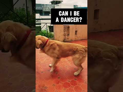 Can i be a dancer?