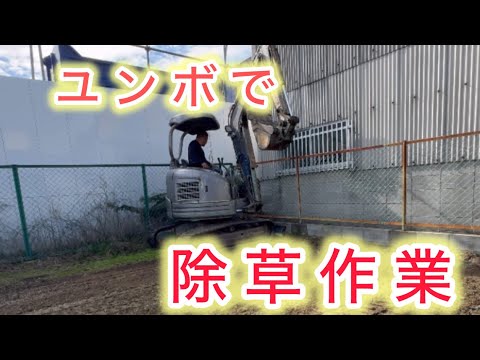 楽ちん重機（ミニユンボ）除草作業　　#いつもの#ヤンマー