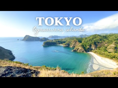 Tokyo’s untouched beautiful island | Ogasawara | World natural heritage in Japan