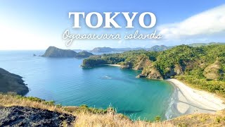 Tokyo’s untouched beautiful island | Ogasawara | World natural heritage in Japan