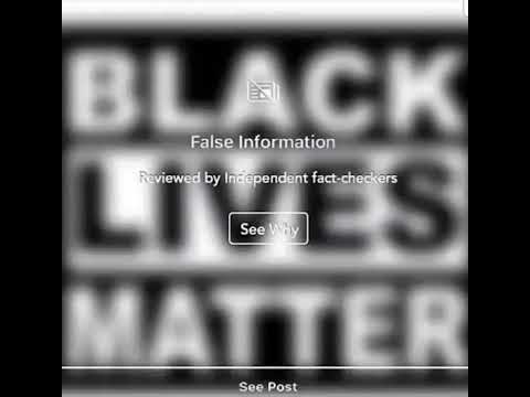 BLM, Fact check false