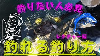 仮屋湾遊漁センター　釣りたい人必見！！　海洋釣り堀ではこれ！