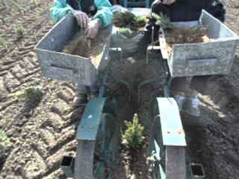 Tree Planter