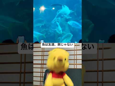 魚は友達エサじゃない　#shorts