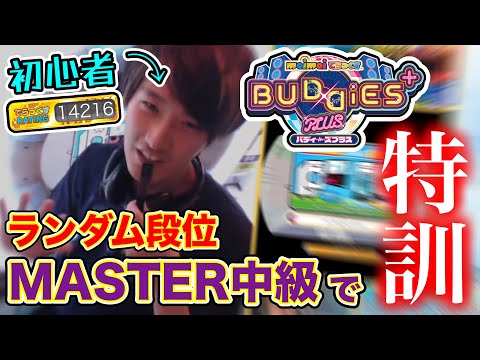 🔴ランダム段位で初見に強くなろう！！【maimaiでらっくす BUDDiES PLUS】