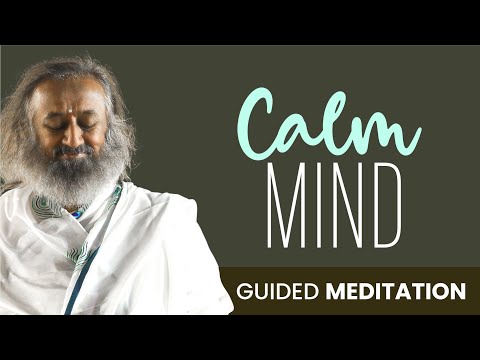 From Chaos to Calm | Short Guided Meditation | Gurudev