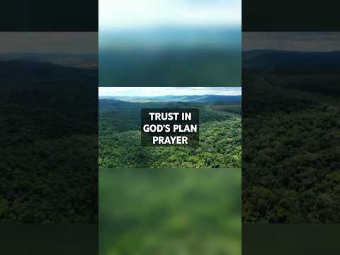 Trust in God's Plan Prayer #christianshorts