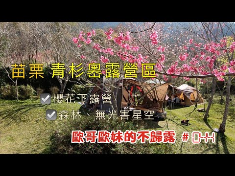 【親子露營】苗栗 青杉嶴露營區 櫻花下露營、超自然森林、無光害星空 聽得見自然的聲音《歐哥歐妹的不歸露 #44》