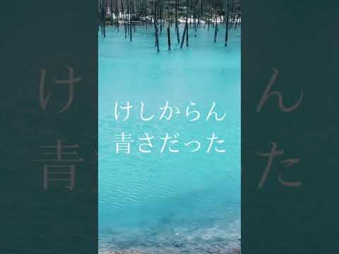 北海道美瑛町にある青い池の青さのワケ