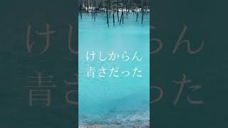 北海道美瑛町にある青い池の青さのワケ