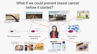 Breast Cancer Prevention: Awareness Avoid Advocacy