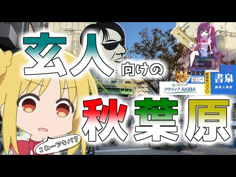 【昭和通り】 上級者でも秋葉原を楽しみたい！ 【マニア向け】 Walking around Akihabara's Showa Street.