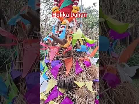 Holika Dahan WhatsApp Status #shorts #youtubeshorts #holistetus