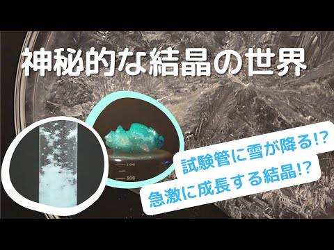 急激に成長する結晶!? 試験管に雪を降らせる!? 神秘的な結晶実験