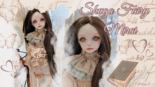 🕊️💛Shuga Fairy Mirai Doll Unboxing