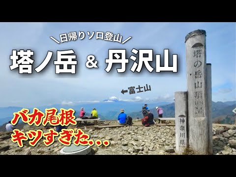 【神奈川】王道の大倉尾根ルート⛰️日帰りで登る塔ノ岳&丹沢山