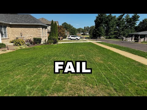 Lawn Renovation FAILURE!! Be Patient and Trust the Process.