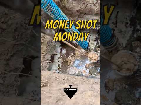 MoneyShotMonday 9/30/24 #shorts