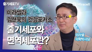 [줄기세포-Stem Cell TV] | 줄기세포 전문기업 미라셀과 김현욱의 건강포커스, 줄기세포/면역세포란?