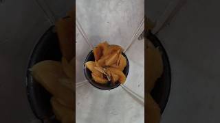 Asmr #sapota juice making #foodie #viral