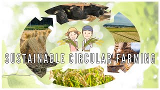 Circular Farming in Iwate, Japan | Sustainable Organic Small Farms