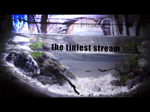 Scaping A Miniature Stream!| A Snowy Scape part 2