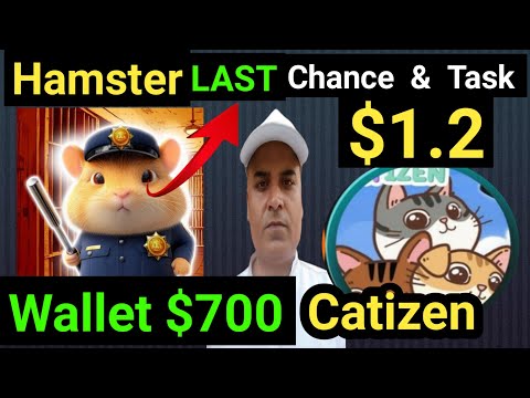 Hamster Last 4 Hour Important Task || $1.2 Price Catizen, Wallet $700 || Hamster Withdrawal