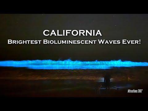 SURREAL Glowing Bioluminescent Waves Light Up California's Coast! Brightest Neon Waves since 2020