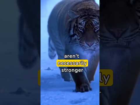 Strength of Will #viral #motivation #shorts #viral