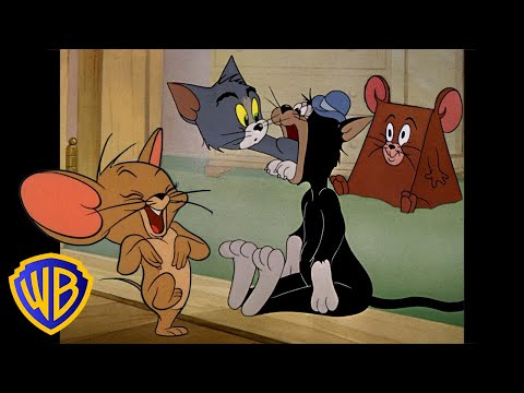 Tom y Jerry en Latino | ¡Bromistas perfectos! 😹 | @WBKidsLatino