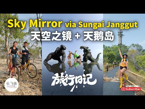 Sky Mirror + Pulau Angsa 2D1N 天空之镜 | 天鹅岛 | 挖生蚝 | 海浪滔滔民宿 | 体验红树林 | 出海观鸟 | 骑车游村