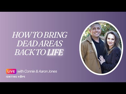 How to Bring Dead Areas Back to LIfe