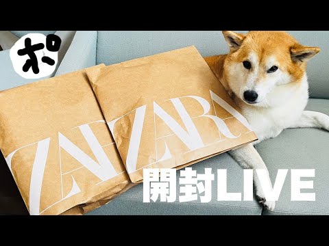 【ZARAセール】在庫復活をポチりましたけどなにか？ライブ