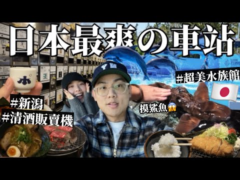 【新潟VLOG】太爽了！日本必訪的清酒車站🇯🇵超美日本海水族館🐬夢幻的2米魟魚！體驗摸鯊魚😱新潟是美食天堂！｜R榮